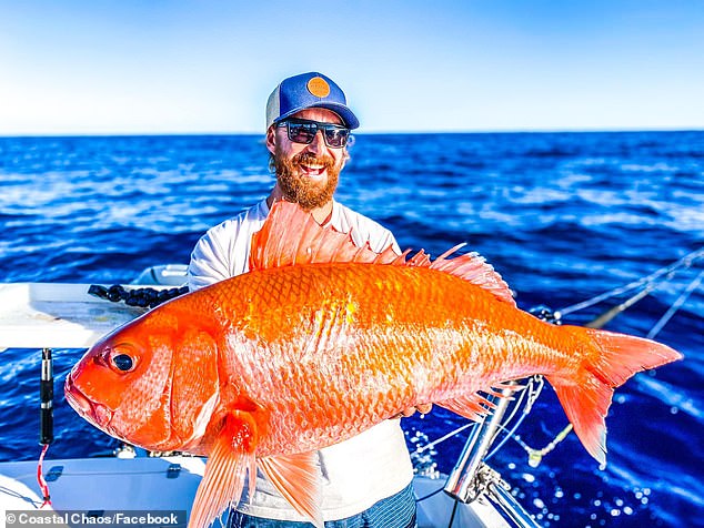 Úc: Bắt được &#34;cá vàng&#34; khổng lồ, tìm hiểu mới biết là loài hiếm gặp - 1