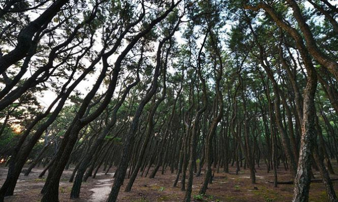 Những điều không thể bỏ qua ở Saga - 3