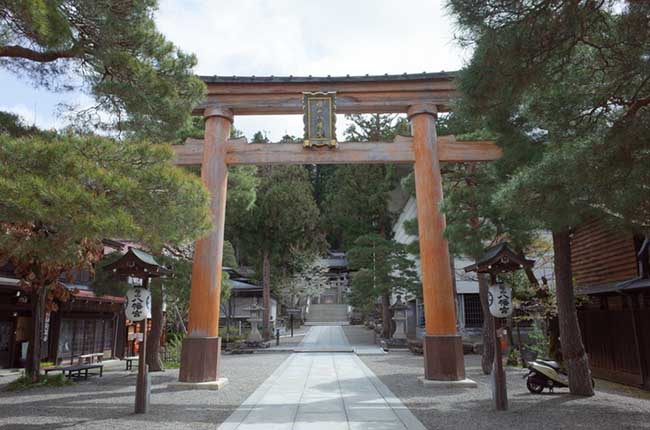 Sakurayama Hachimangu là nơi tổ chức các lễ hội, được xem như tài sản văn hóa dân gian phi vật thể cấp quốc gia. Nơi này còn là đền thờ thần Ojin.
