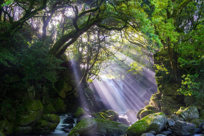 Cảnh sắc đẹp nên thơ của ngôi làng được ca ngợi “đẹp nhất Nhật Bản” - 3