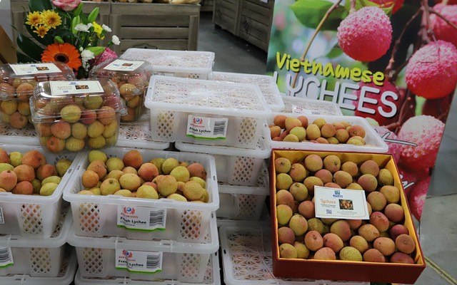 Nông sản Việt Nam xuất khẩu sang Australia tăng trưởng mạnh mẽ - 1