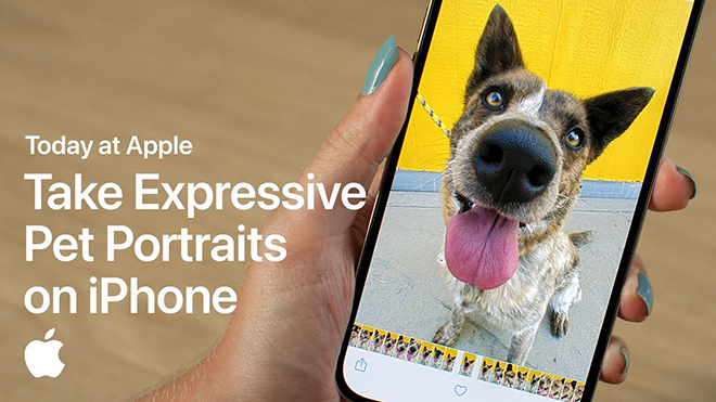 Gợi ý chụp ảnh chân dung thú cưng cực đáng yêu trên iPhone - 3