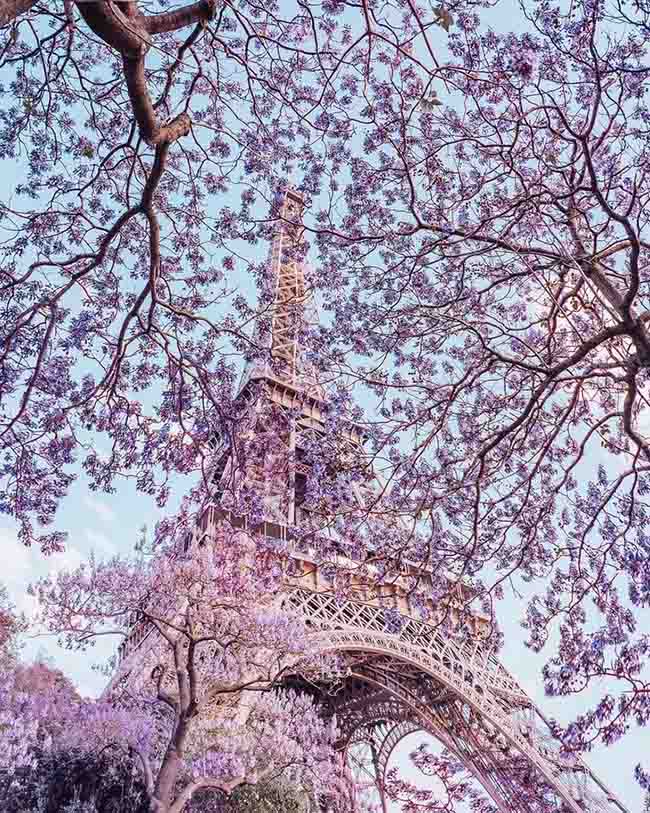13. Khung cảnh mùa xuân dưới chân tháp Eiffel, Paris, Pháp.
