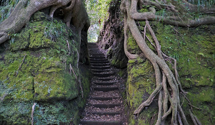 7 địa danh huyền bí ở xứ sở Mặt trời mọc, tưởng như tách biệt khỏi thế giới - 15