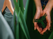 Cleandye - công nghệ xanh của ngành dệt may Việt Nam nói riêng và thế giới nói chung trong tương lai