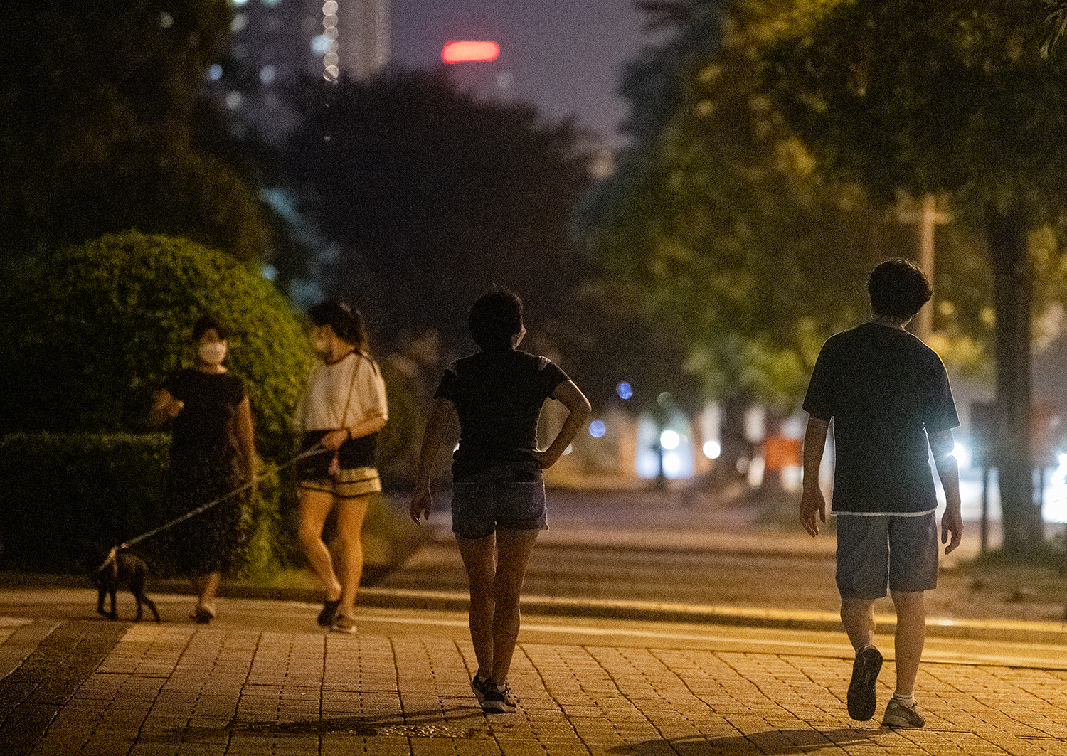 Thành phố lên đèn, nhiều người Hà Nội xuống đường tập thể dục - 10