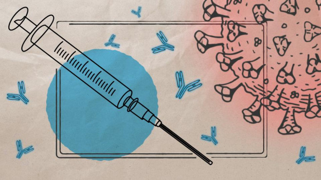 2 lý do quan trọng khiến vaccine ngừa COVID-19 không có hiệu quả trọn đời? - 1