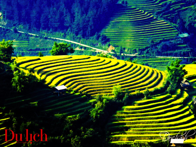 Mênh mang một cõi mộng vàng Tây Bắc - 9