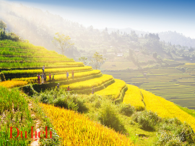 Mênh mang một cõi mộng vàng Tây Bắc - 12