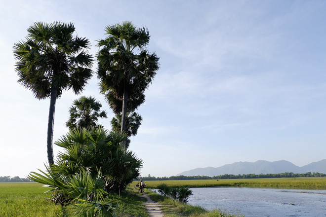 An Giang vào mùa nước nổi – Mùa du lịch đẹp nhất trong năm - 6