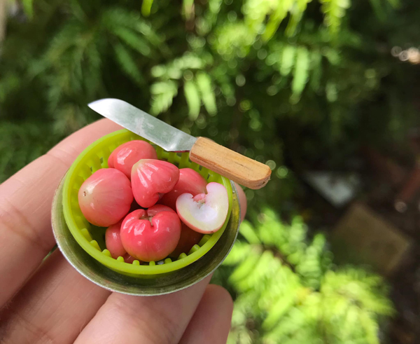 Những món đồ ăn mini được thiết kế nhỏ gọn và dễ thương, tạo cảm giác tươi mới cho bữa ăn hàng ngày. Hãy thưởng thức hình ảnh và khám phá thêm về những món ăn mini khiến bạn không thể bỏ qua!