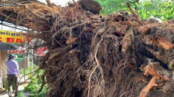 Tin tức 24h qua: Tự thấy mình chống dịch có thiếu sót, Chủ tịch huyện nộp đơn xin nghỉ việc - 2