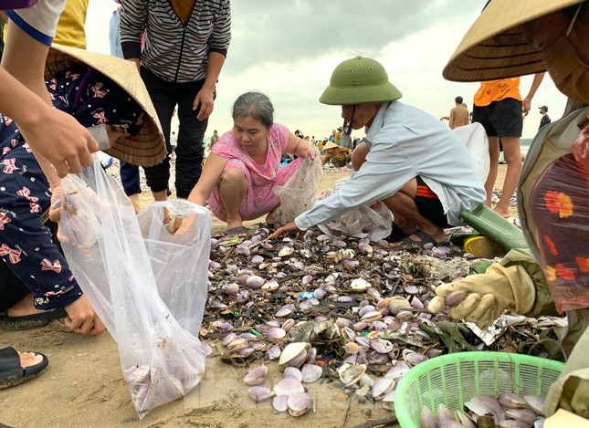 Sóng đưa 'lộc' vào bờ, người dân đổ xô đi nhặt kiếm bạc triệu chỉ trong vài giờ - 3