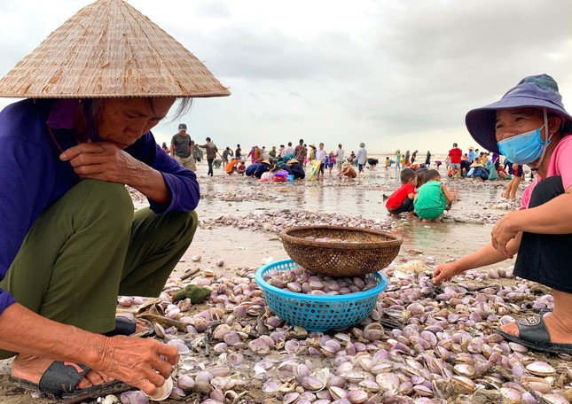 Sóng đưa 'lộc' vào bờ, người dân đổ xô đi nhặt kiếm bạc triệu chỉ trong vài giờ - 4