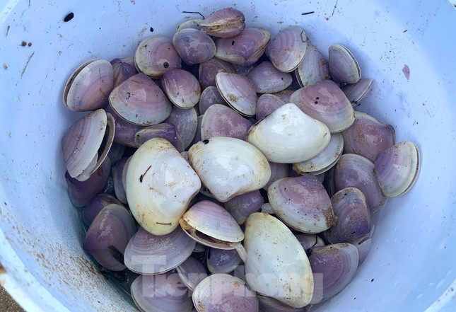 Sóng đưa 'lộc' vào bờ, người dân đổ xô đi nhặt kiếm bạc triệu chỉ trong vài giờ - 5