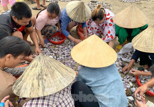 Sóng đưa 'lộc' vào bờ, người dân đổ xô đi nhặt kiếm bạc triệu chỉ trong vài giờ - 6