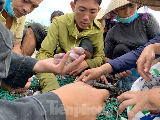 Sóng đưa 'lộc' vào bờ, người dân đổ xô đi nhặt kiếm bạc triệu chỉ trong vài giờ - 7