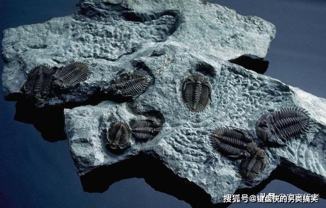 Phát hiện lò phản ứng hạt nhân 2 tỷ năm bí ẩn ở châu Phi - 5