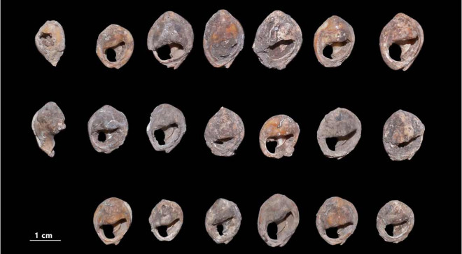 Choáng váng kho trang sức cổ xưa nhất thế giới: 150.000 tuổi - 1