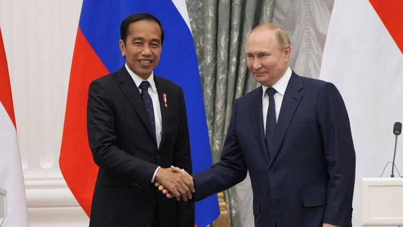 Gặp ông Putin, Tổng thống Indonesia chuyển thông điệp của ông Zelensky - 1