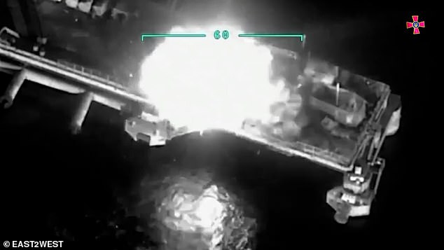 Ukraine tung video phá hủy vũ khí Nga bỏ lại trên đảo Rắn - 1