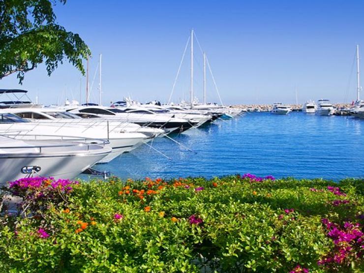 Đảo Mallorca của Tây Ban Nha có gì mà hấp dẫn giới nhà giàu vào mùa hè đến vậy?