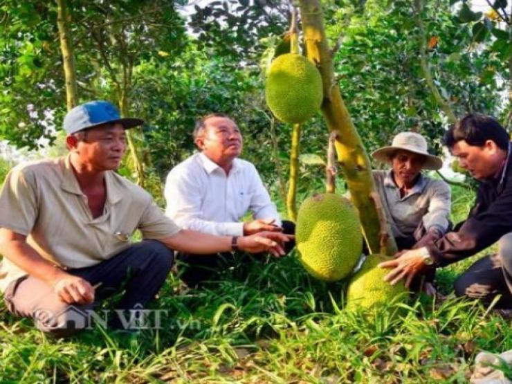 Nghề lạ ở Việt Nam: Chỉ cần ngửi hoặc gõ trái cây cũng ra tiền triệu mỗi ngày