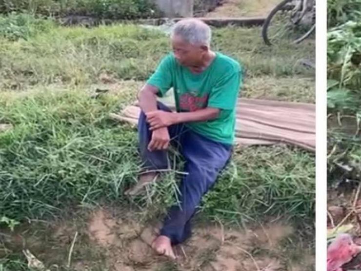 Vụ phá ruộng dưa ở Nghệ An: Vợ chồng lão nông tha thứ cho nhóm thanh niên