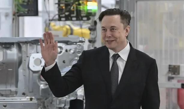 Thông tin bất ngờ về 2 con sinh đôi của tỷ phú Elon Musk - 1
