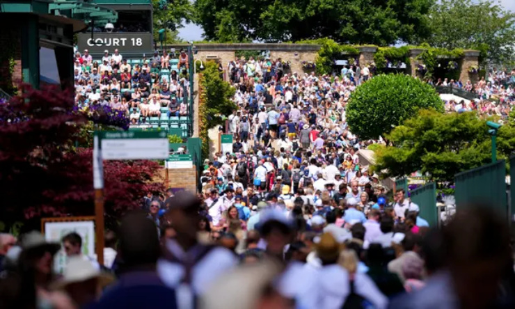 Náo loạn Wimbledon: 3 nhân viên an ninh choảng nhau bị cảnh sát bắt về đồn - 1