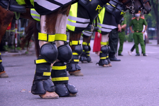 Xem Cảnh sát cơ động kỵ binh diễu hành dũng mãnh và thân thiện ở phố đi bộ hồ Gươm - 14