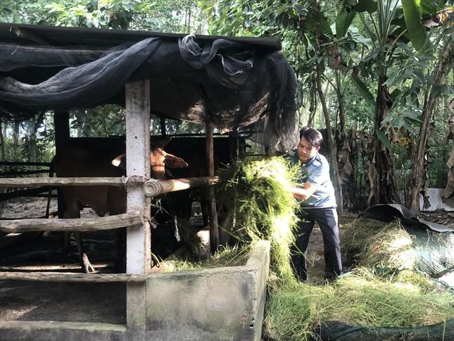 &#39;Vàng trắng&#39; và phận người: Bóng đen bất ổn - 1