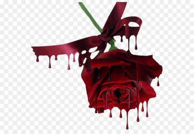 Sự &#34;lãng mạn tàn nhẫn&#34; của kẻ cuồng yêu khi trang trí 99 bông hồng bên thi thể người tình - 1