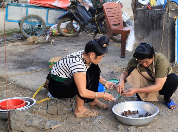 Khám phá chợ côn trùng lớn nhất Tây Bắc, bày bán đủ các đặc sản núi rừng - 3