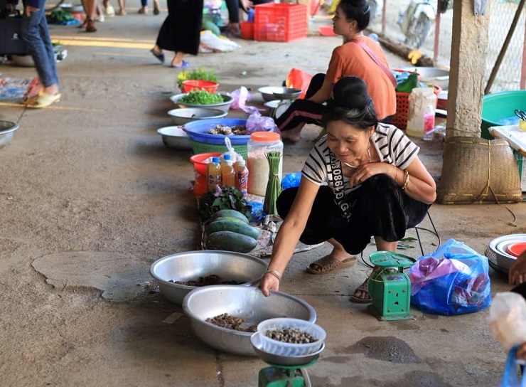 Khám phá chợ côn trùng lớn nhất Tây Bắc, bày bán đủ các đặc sản núi rừng - 6