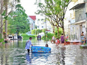 Bì bõm trong đô thị triệu đô