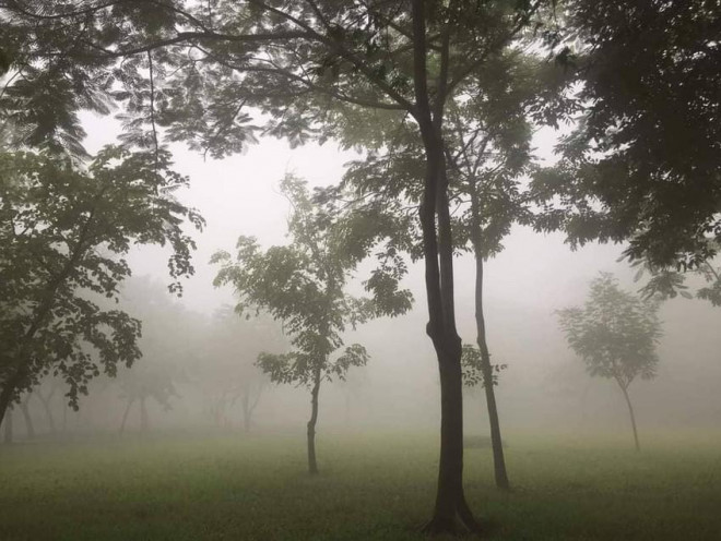 Nguyên nhân gây sương mù ở TP.HCM, Long An sáng nay - 2