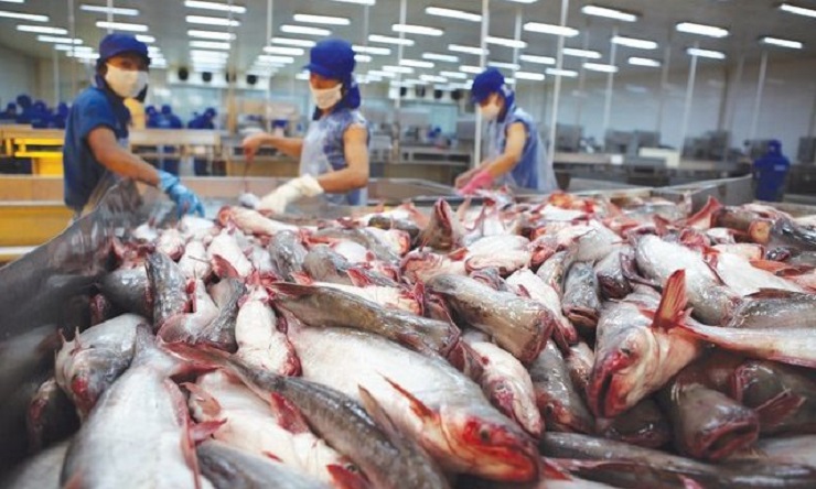 Quý II/2022: Cá tra Nam Việt báo lãi cao kỷ lục, gấp 10 lần so với cùng kỳ - 1