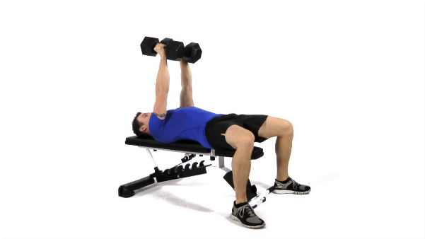5 bài tập tăng cơ ngực cho nam giới có thể thực hiện tại nhà - 2