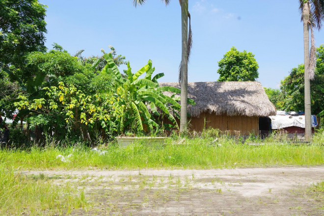 Công viên rộng hơn 15 ha bỏ hoang ở quận nội thành Hà Nội, dân không dám vào vì sợ rắn rết - 18