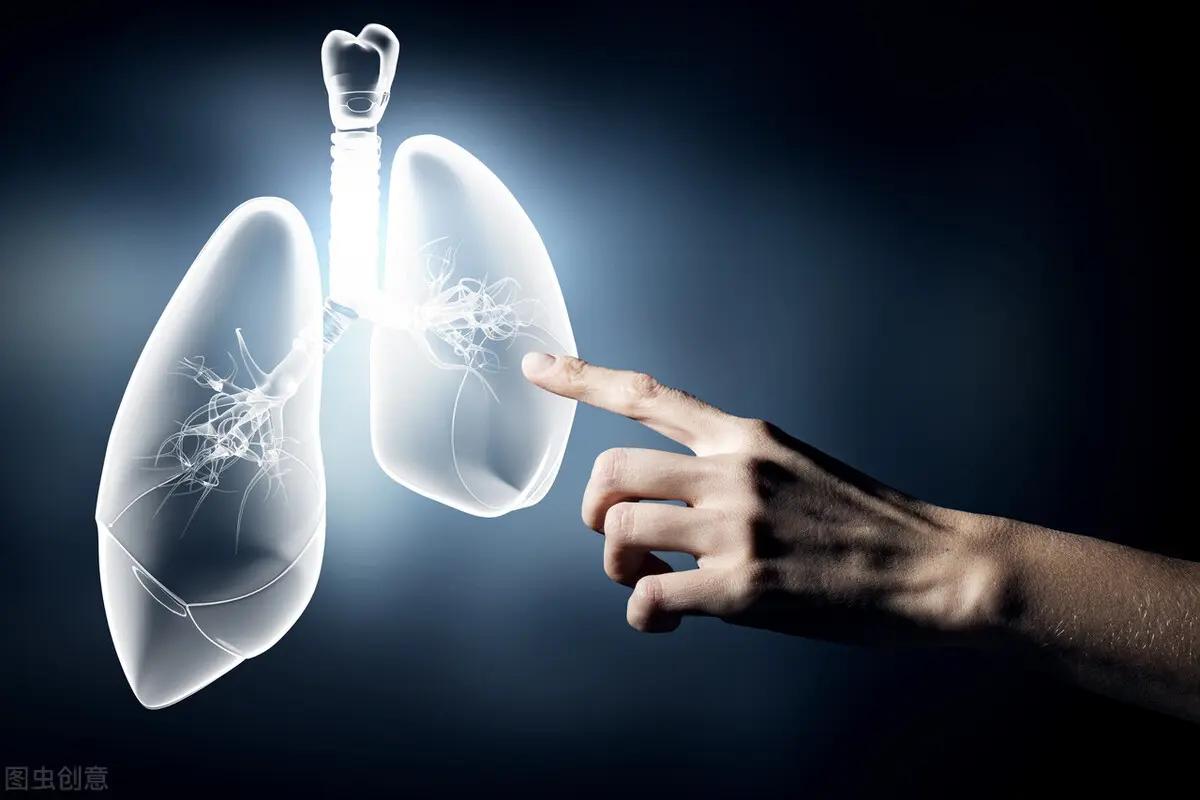 Ăn 4 thứ này thường xuyên để “hút sạch” chất độc trong phổi - 1