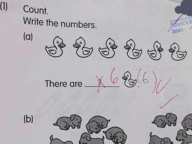 Bài toán tiểu học yêu cầu đếm vịt và chó khiến cộng đồng mạng tranh cãi