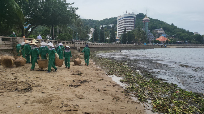 &#34;Đến hẹn lại lên&#34;, rác đại dương đang tấn công bãi biển Vũng Tàu - 3