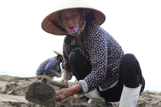 Hàng trăm người chen chúc lật cát tìm ngao trên bãi biển - 2