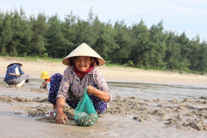 Hàng trăm người chen chúc lật cát tìm ngao trên bãi biển - 4