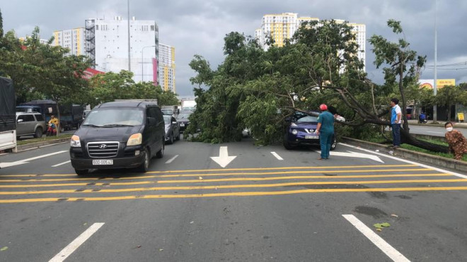 Nhiều cây me tây bật gốc, đè trúng 3 ô tô đang dừng đèn đỏ đường Võ Văn Kiệt - 6