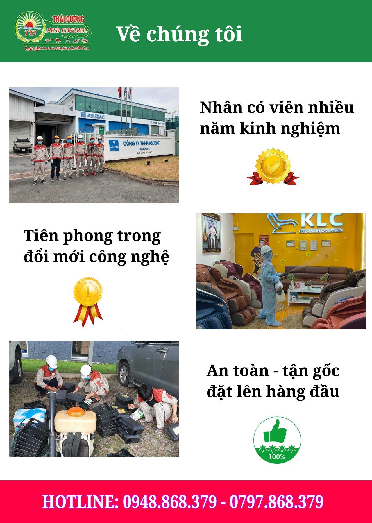 Diệt mối và côn trùng Thái Dương - chất lượng, uy tín, chuyên nghiệp - 6