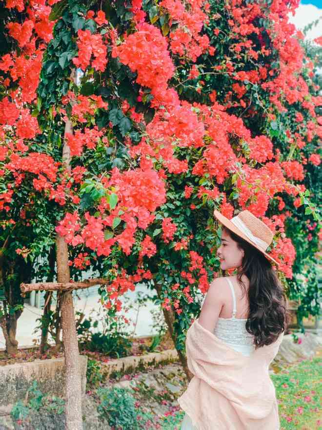 Mãn nhãn chiêm ngưỡng ‘viên ngọc xanh’ nơi địa đầu Tổ quốc - 14