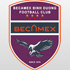 Trực tiếp bóng đá Bình Dương - Sài Gòn: Nỗ lực không thành (V-League) (Hết giờ) - 1