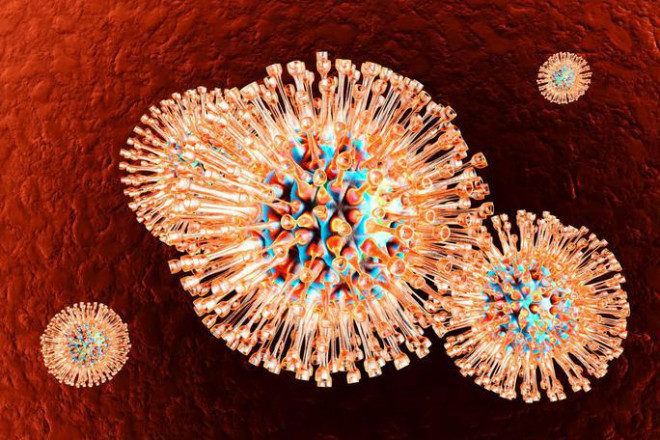 Virus thủy đậu kết hợp virus bệnh tình dục kích hoạt bệnh nan y khác - 1